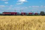 Die hren sind schon fast reif - ein Sommerfoto an der Nordbahn, kurz vor der Wr. Stadtgrenze zwischen Deutsch Wagram und Wien Senbrunn. Die Aufnahme entstand am 09.07.2013.