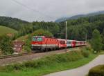 Schnell noch ein Bild vor der Streckensperre - auch wenn das Wetter nicht sehr einladend war. Mit dem Rex 3910 ist am
26.08.2013 die 1144 028 durch die Ortschaft Schn gefahren.