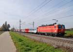 1144 40 hat am 20.10.2013 den Rex 1778   bei Marchtrenk ber die Westbahn geschoben.