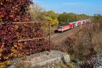 Herbst - R 2341 ist in Richtung Deutsch Wagram unterwegs.