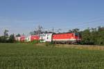 Im herrlichen Abendlicht fährt 1144.206 mit R-2349 bei Theresienfeld in Richtung Wr.Neustadt. 22.8.14