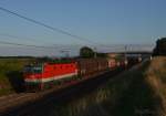 1144 048 bei Gramatneusiedl am 22.8.2014