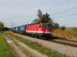 Die 1144 220 mit einem KLV-Zug am 13.10.2012 unterwegs bei Ostermünchen.