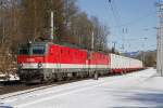 1144 229 + 1144 235 mit Güterzug in Wartberg im Mürztal am 11.02.2015.