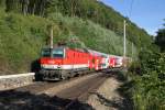 1144.101 fährt mit R-2245 bei Schlöglmühl nach Payerbach/R. am 27.8.15