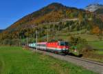 1144 036 mit G 54533 am 24.10.2015 bei Weißenbach.