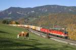 Umgeben von herrlicher Landschaft fahren 1144.098+1116 mit GAG-53515 kurz vor Eichberg am 31.10.15