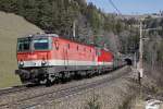 1144 003 + 1144 120 mit Güterzug zwischen Klamm-Schottwien und Breitenstein am 18.03.2016.