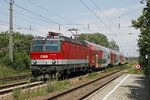 1144 206 mit REX in St.Andrä - Wördern am 29.07.2016.