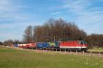 1144 251 mit einem Gterzug bei Grokarolinenfeld (06.03.2007)