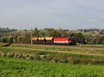 Die 1144 202 mit einem Schotterzug am 14.10.2016 unterwegs bei Taufkirchen a.