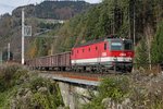 1144 224 mit Güterzug bei Pernegg am 4.11.2016.