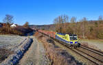 1193 890 mit DGS 48963 am 19.01.2022 bei Seestetten.