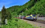 1193 890 mit einem Stahlzug am 19.05.2022 bei Ingling.