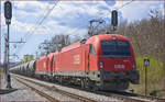 OBB 1216 148 zieht Kesselzug durch Maribor-Tabor Richtung Norden. /21.4.2021