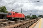 1216 240 bringt eine schlecht ausgelastete RoLa zum Brennersee. (08.07.2008)
