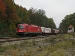 1216 010 mit einem gemischten Gterzug am 11.10.2008 in Aling.