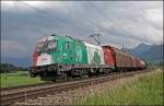 1216 004 (E190 004) ist mit dem 44816 von Salzburg zum Rangierbahnhof Mnchen Nord unterwegs. Bei Bernau am Chiemsee wird die Lok ins Visier genommen. (09.07.2008)
