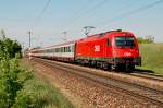 1216 237  part of the best  vor Eurocity 172 von Wien Sdbahnhof nach Hamburg-Altona. Die Aufnahme entstand am 26.04.2009.