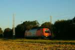 Hier der RTS Taurus 1216 902 der am 24.08.2009 in Mangolding durchgefahren ist. 