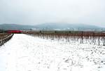 Eurocity 71  Gustav Mahler , unterwegs im Schneeschauer durch die Weinberge zwischen Gumpoldskirchen und Pfaffsttten, Richtung Wiener Neustadt Hbf. 