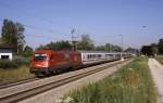 1216 013  Grokarolinenfeld  09.07.10