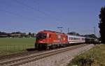 1216 017  bei Grokarolinenfeld  09.07.10