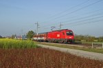 Die frisch gewaschene 1216.237 mit EC-77 bei Theresienfeld am 25.10.12