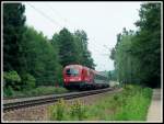 1216 012 fährt am 27.8.13 mit einem EC aus Richtung Italien dem Zielbahnhof München Hbf entgegen.
Festgehalten wurde der Zug zwischen Rosenheim und Großkarolinenfeld.