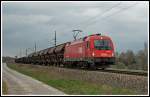 Relativ selten sieht man im Osten Österreichs eine 1216 0xx (Italien-tauglich) vor Güterzügen.
