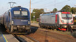 Die 1216 234 der CD zieht im Abendlicht einen Railjet an der im Bahnhof Gänserndorf hinterstellten 188 02 Richtung Wien.