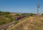 1216 020 hatte am 08.09.2023 Railjet 133 nach Venedig Santa Lucia am Haken als sie südlich von Mödling über die Südbahn fuhr.
