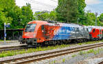 91 81 1216 006 | 20260616 | A�ling  