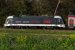 1216 025 „world record“ Lok der ÖBB verirrt sich auch recht selten zu uns.