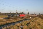 Im ersten Morgenlicht wird Tandem 1116.153+1216.240 mit IC-531 am 30.12.12 in krze Wr.Neustadt erreichen.