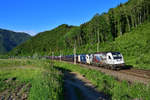 1216 955 + 1216 953 mit einem Autozug am 12.06.2020 bei Niklasdorf.