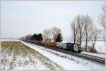 183 704 der WLB mit ihrem Containerzug am 10. Februar 2012 kurz vor Tulln. 