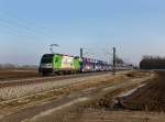 Die 1216 954 mit einem Autozug am 03.03.2013 unterwegs bei Langenisarhofen.