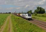 1216 955 mit einem KLV am 30.07.2015 bei Plattling.