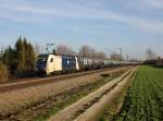 Die 1216 953 mit einem Kesselzug am 28.12.2015 unterwegs bei Langenisarhofen.