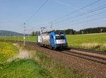 Die 1216 910 am 22.04.2016 unterwegs bei Weng.