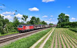 1293 179 mit einem Güterzug am 30.05.2022 bei Langenisarhofen.