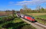 1293 047 mit einem Güterzug am 25.10.2022 bei Langenisarhofen.