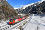 1293 029 + 1293 031 mit GAG 49839 am 17.01.2019 bei Brennerbad. 