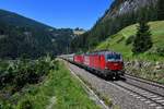 1293 025 + 1293 028 mit einem ARS Altmann am 28.06.2019 bei St. Jodok am Brenner.