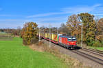 1293 017 mit einem KLV am 31.10.2020 bei Hilperting.