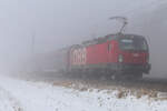 1293 051 der ÖBB am 30.01.2026 bei Eglharting.