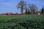 1293 099 am 11.04.26 bei Thonstetten