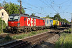 1293 197 �BB mit zahlreichen Aufliegern am Abend in Grafing Bahnhof. Wollte mal sehen wie man dort so fotografieren kann. Viele st�renden Schatten gibts dort, aber zum zuschauen ist es ein toller Platz, besonders weil auch fast jeder durchfahrende Zug am Bahnsteig angesagt wird.