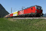 1293 115 ÖBB mit buntem Wagenmix am 12.